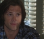 SPN_0523.jpg