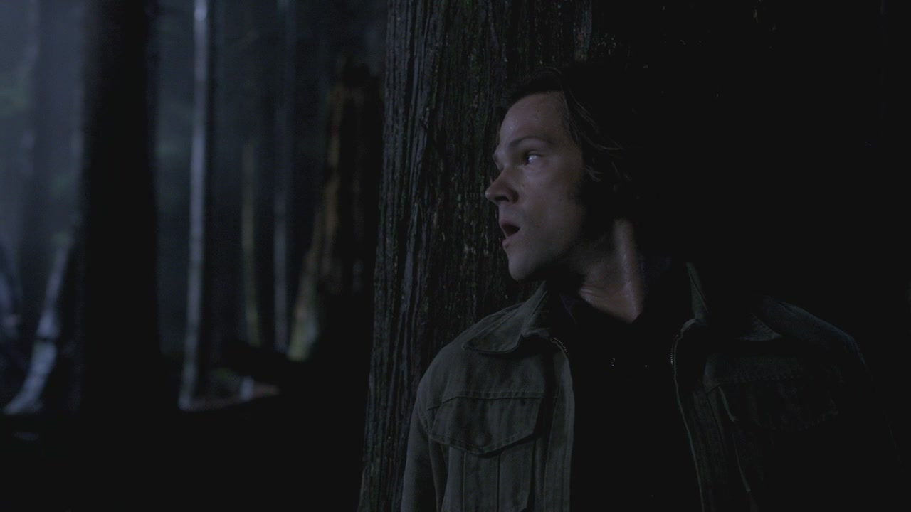 SPN_0832.jpg