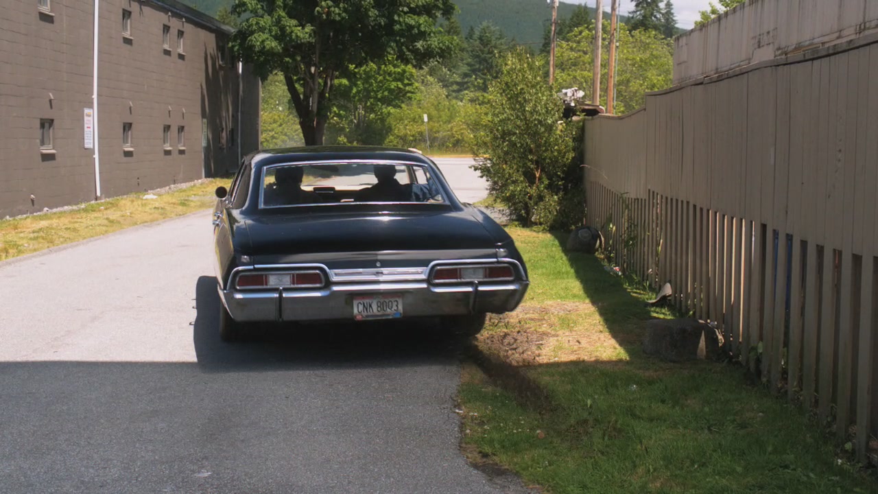 SPN_1364.jpg