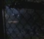 SPN_0512.jpg