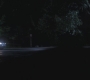 SPN_0739.jpg