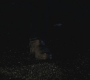 SPN_0745.jpg