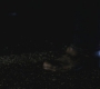 SPN_0746.jpg
