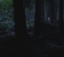 SPN_0825.jpg