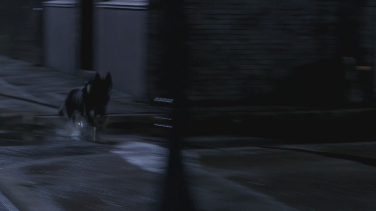 SPN_0255.jpg