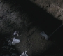 SPN_0251.jpg