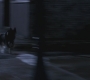 SPN_0255.jpg