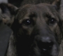SPN_0283.jpg