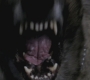 SPN_0285.jpg