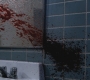 SPN_0286.jpg