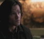 SPN_0321.jpg
