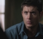 SPN_0335.jpg