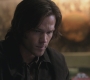 SPN_0336.jpg