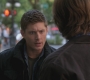SPN_0499.jpg