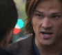 SPN_0507.jpg