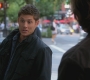 SPN_0528.jpg