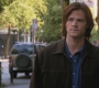 SPN_0533.jpg