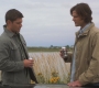 SPN_1526.jpg
