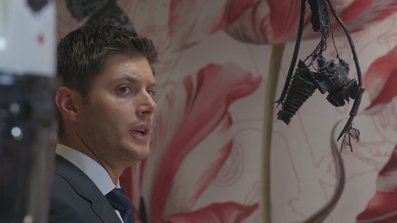 SPN_0219.jpg