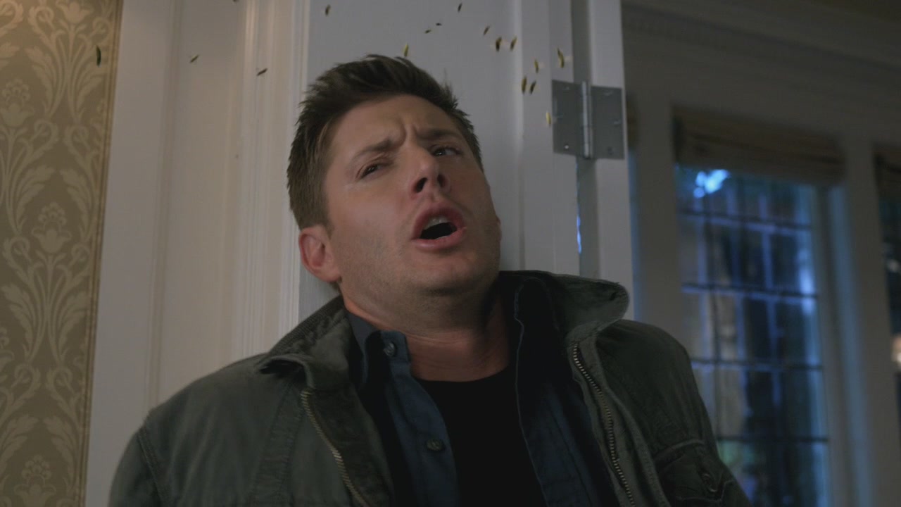 SPN_1204.jpg