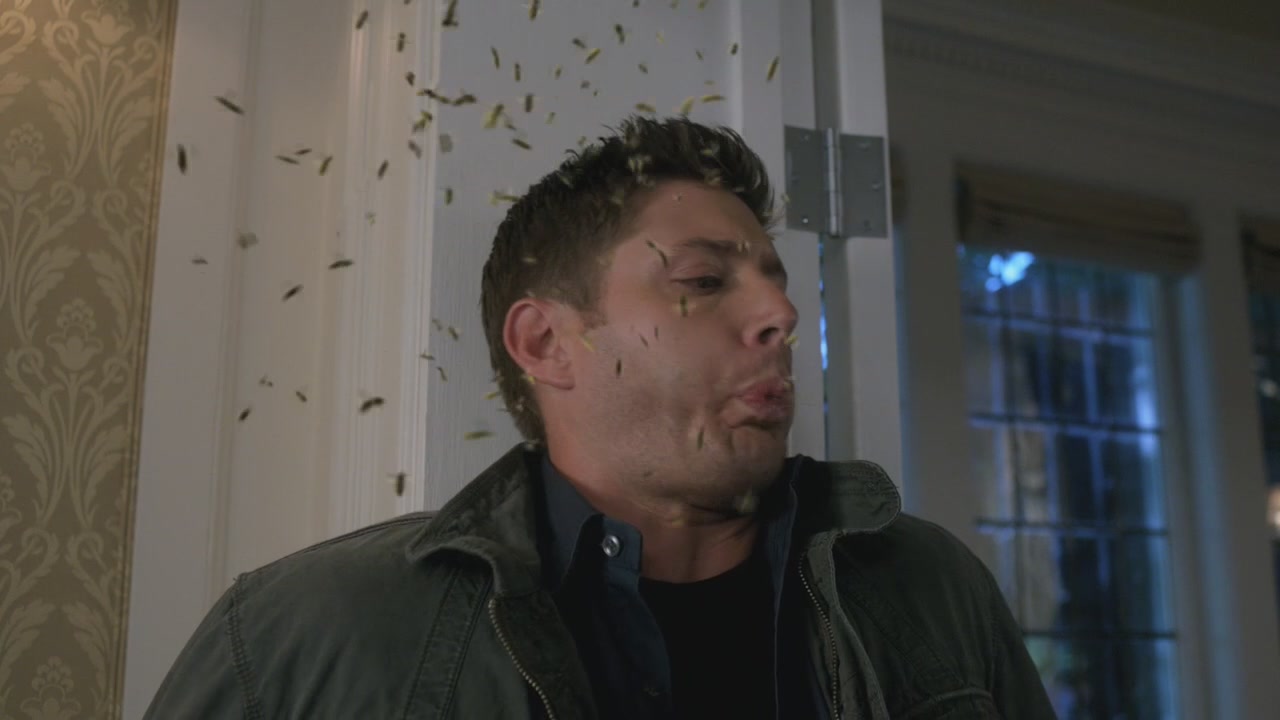 SPN_1210.jpg