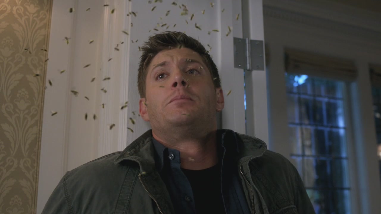 SPN_1229.jpg