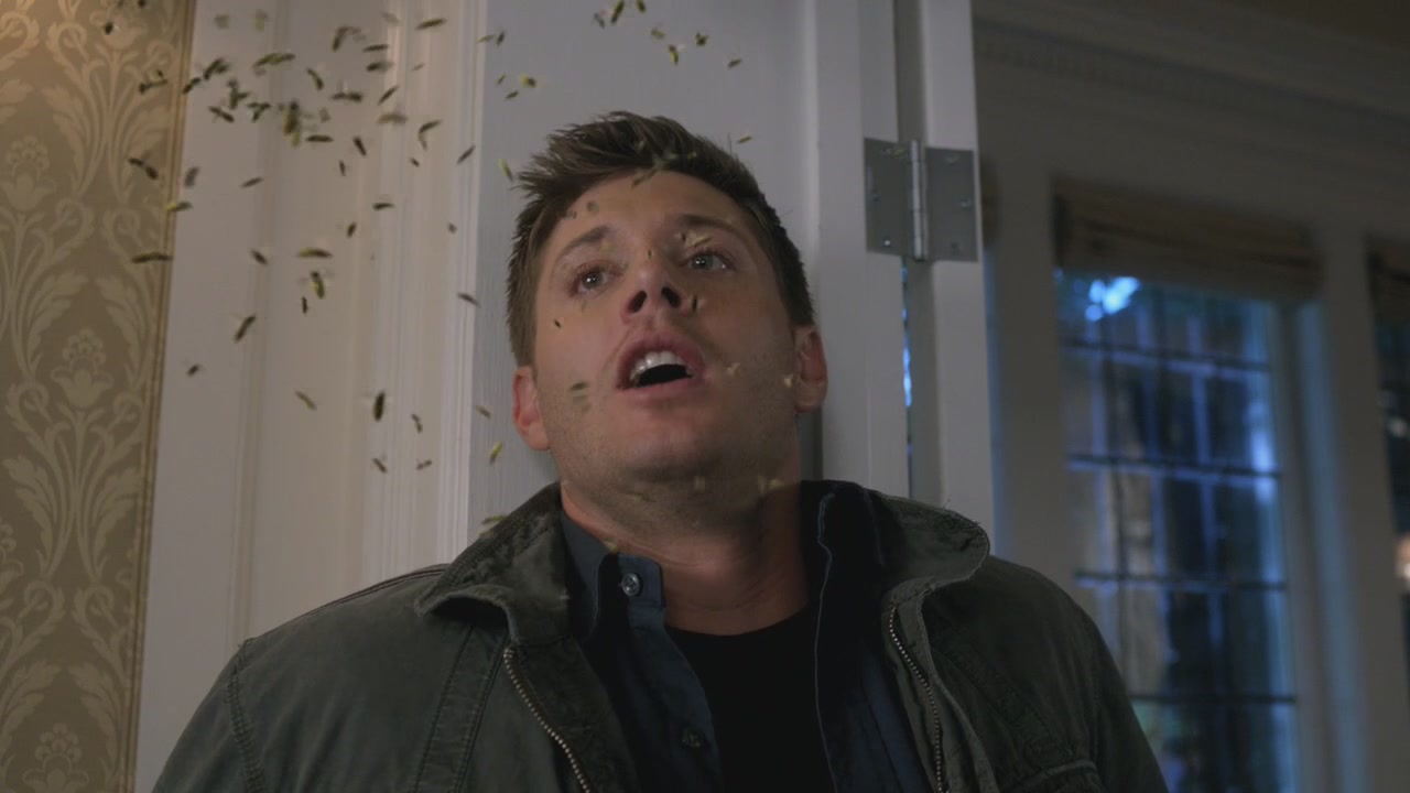 SPN_1230.jpg