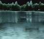 SPN_0074.jpg