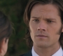 SPN_0199.jpg