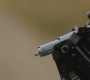 SPN_0294.jpg