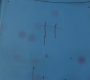 SPN_0308.jpg