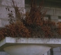 SPN_0582.jpg