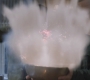 SPN_1085.jpg