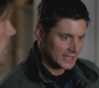 SPN_1105.jpg