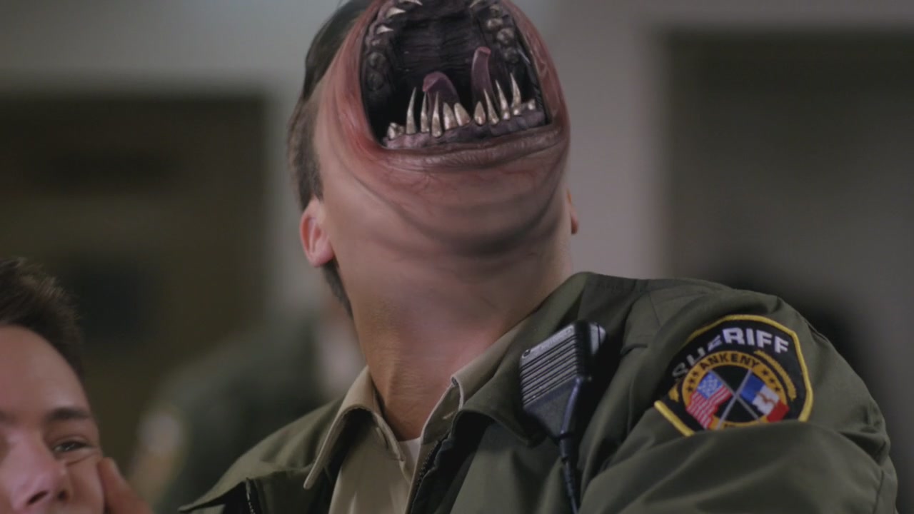 SPN_0955.jpg