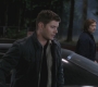 SPN_0231.jpg