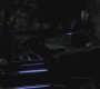 SPN_0304.jpg