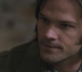 SPN_0687.jpg