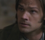 SPN_0692.jpg