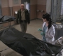 SPN_1250.jpg