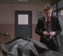 SPN_1269.jpg