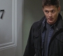 SPN_0507.jpg