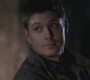 SPN_0409.jpg