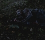 SPN_0471.jpg
