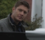 SPN_0846.jpg