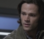 SPN_1255.jpg