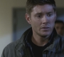 SPN_1338.jpg
