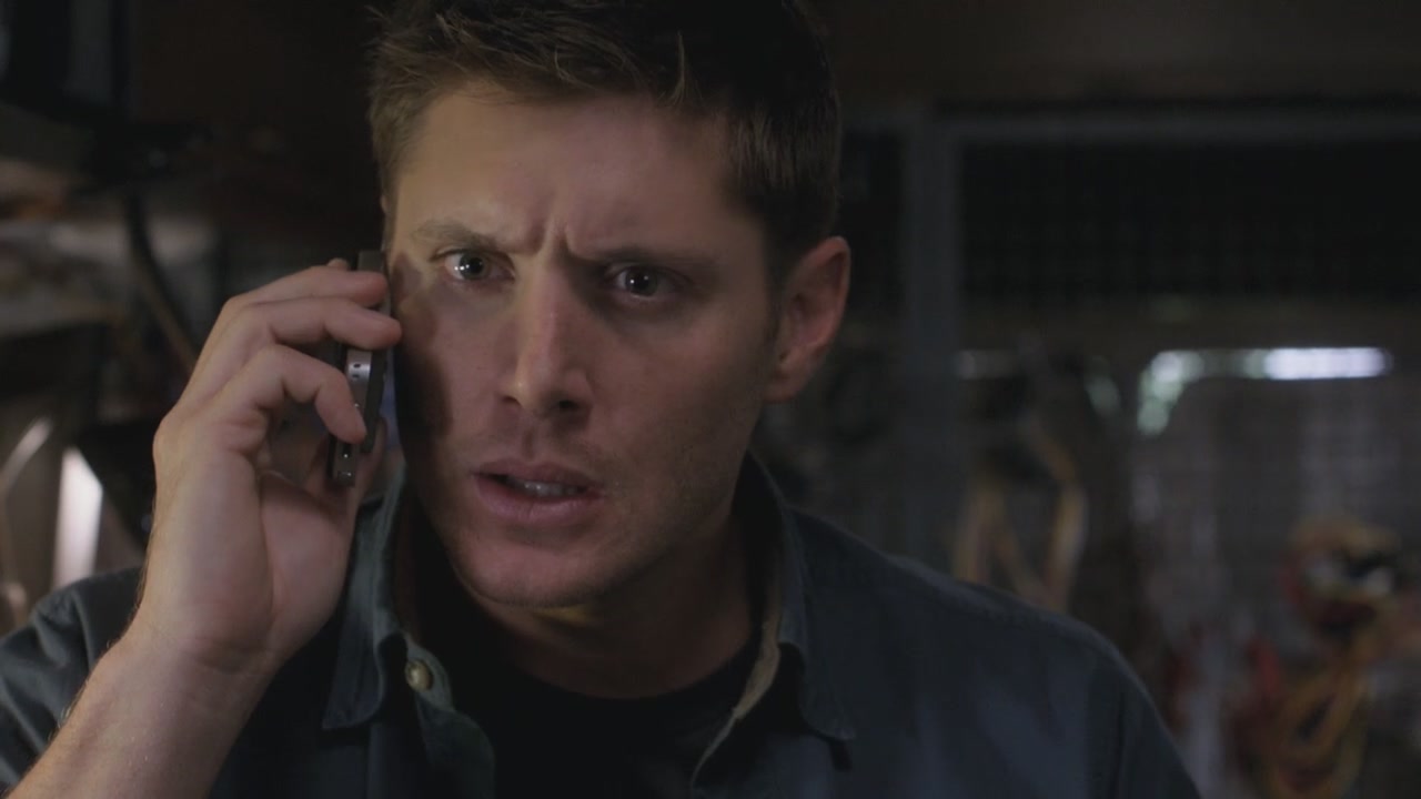 SPN_0795.jpg