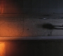 SPN_0017.jpg