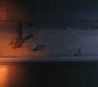 SPN_0054.jpg